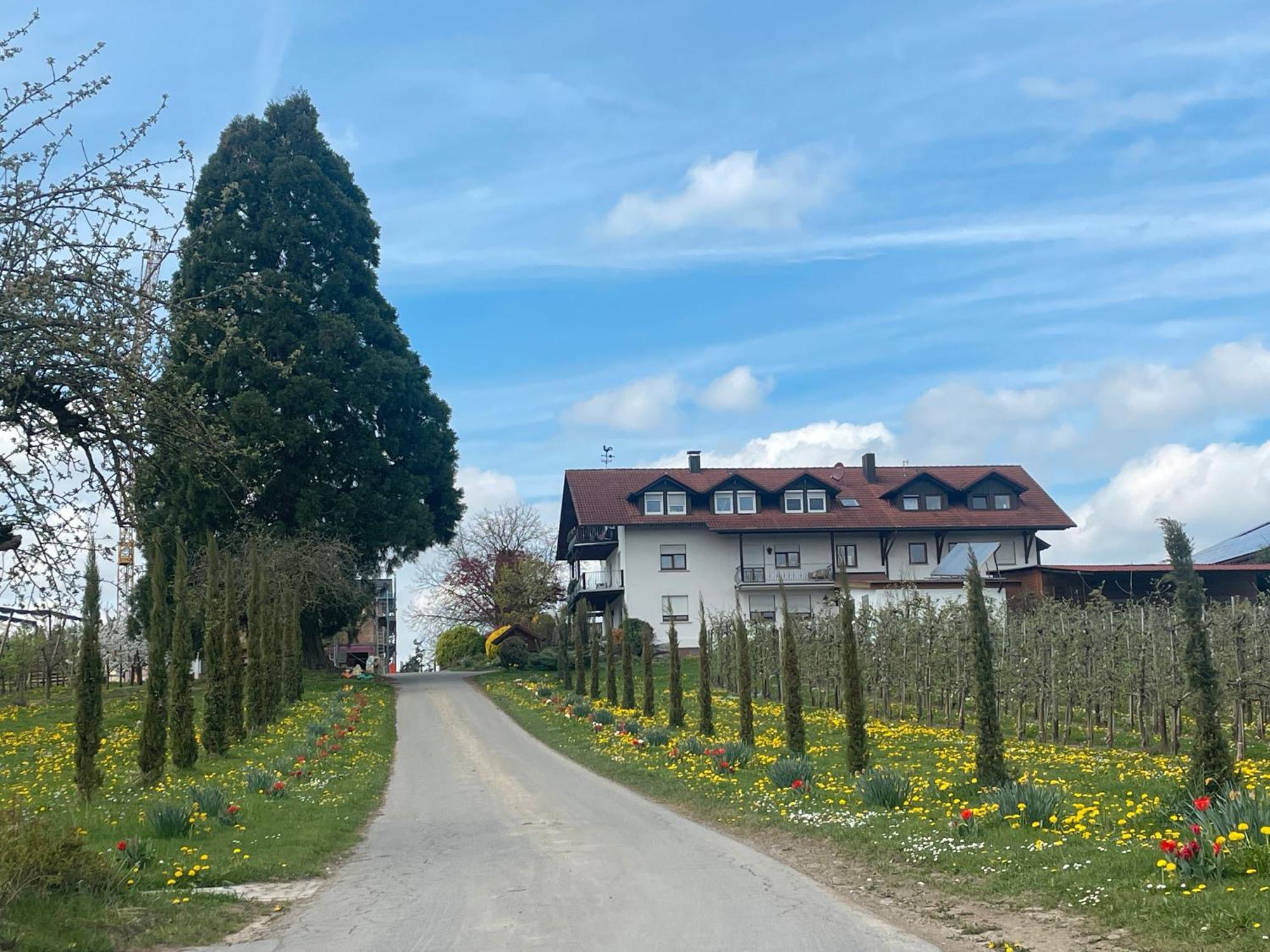 Bergchalet Mirabell - Hofgut FDH Esterno foto